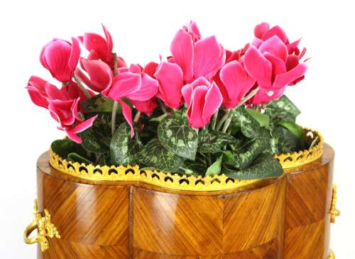 A Fine Victorian Kingwood and Ormolu mounted Table Top Jardiniere