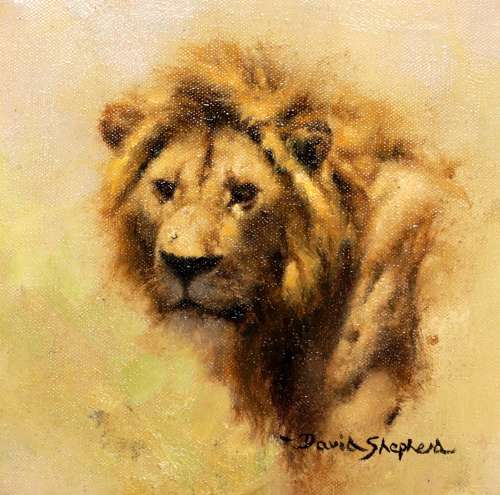 David Shepherd (1931 - 2017) Oil on Canvas