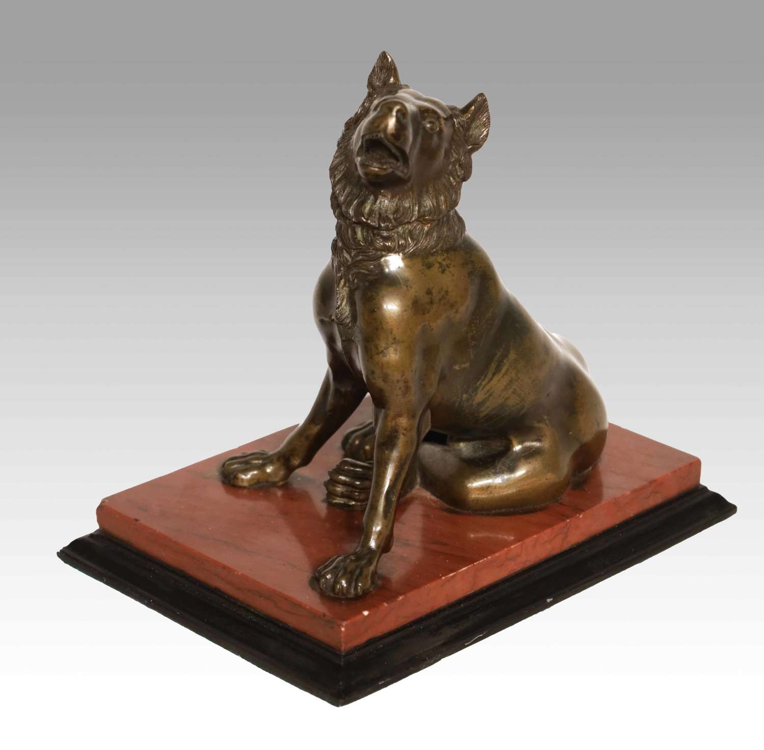 A 19th Century Bronze of The Dog of Alcibiades (Jennings Dog)